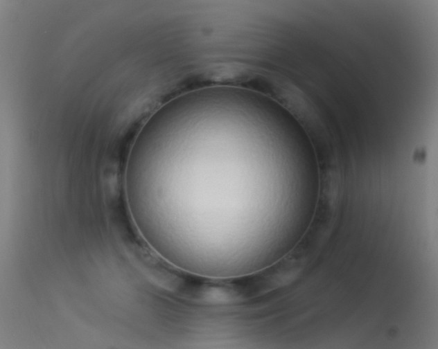 X0000114180510200910151704