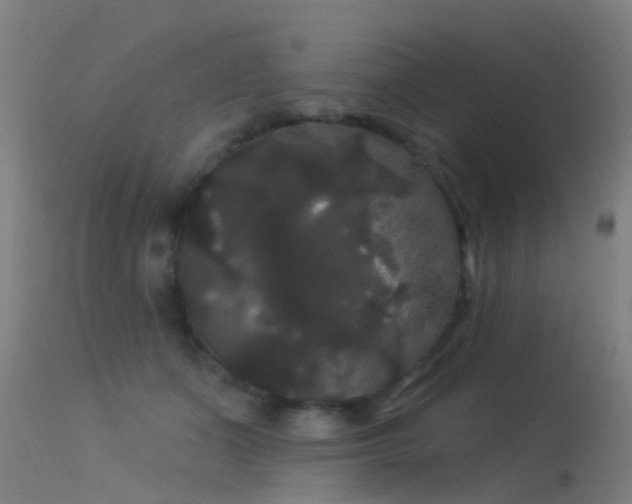 X0000114180511200910151704