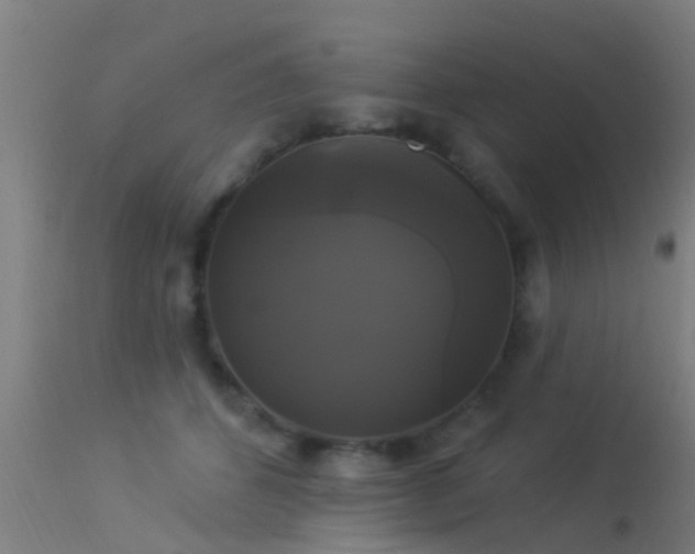 X0000114180512200910151704