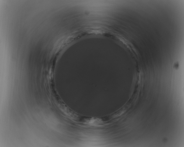 X0000114180517200910151704