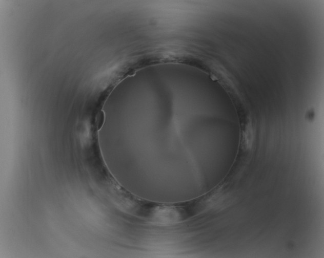 X0000114180520200910151704