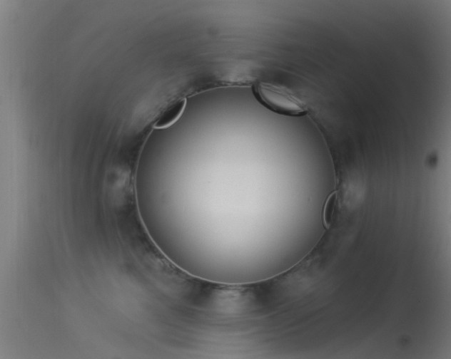 X0000114180521200910151704