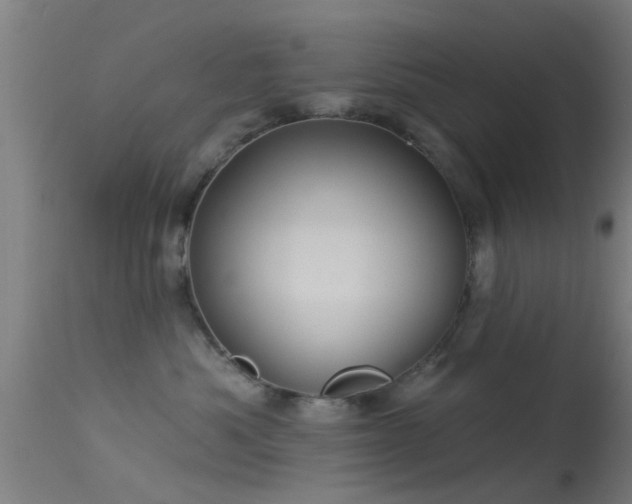 X0000114180525200910151704