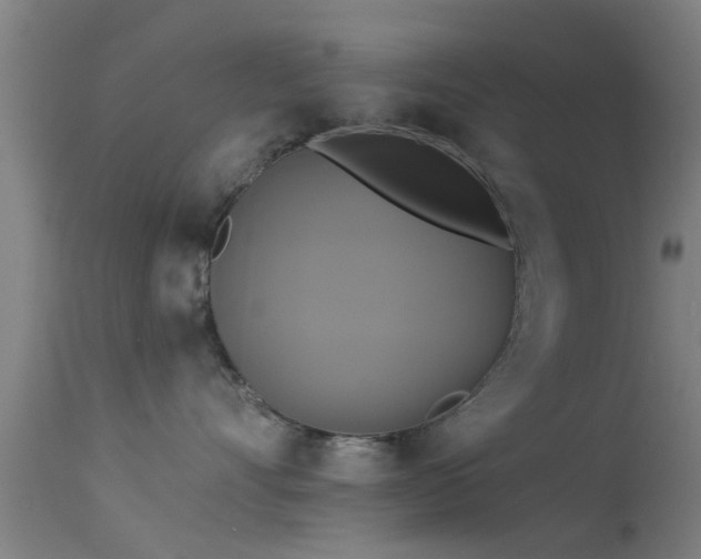 X0000114180528200910151704