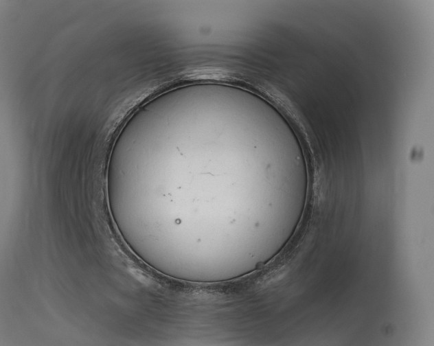 X0000114180529200910151703