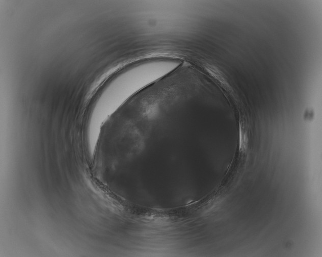 X0000114180531200910151703