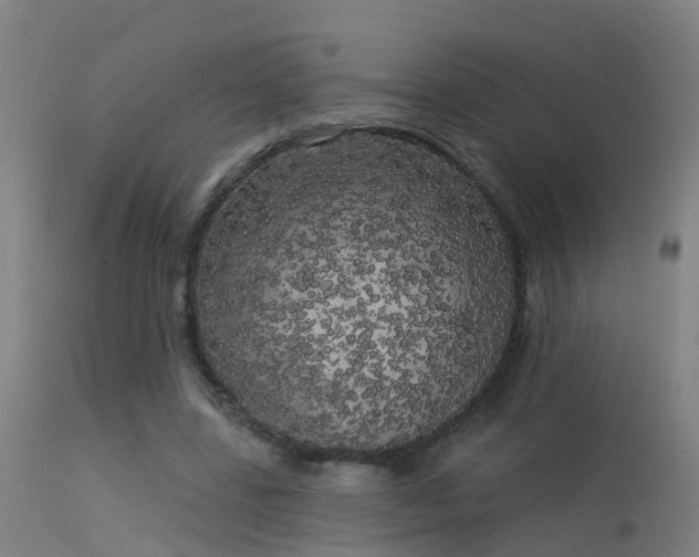 X0000114180539200910151703