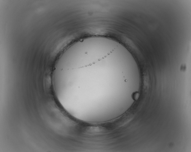 X0000114180541200910151704