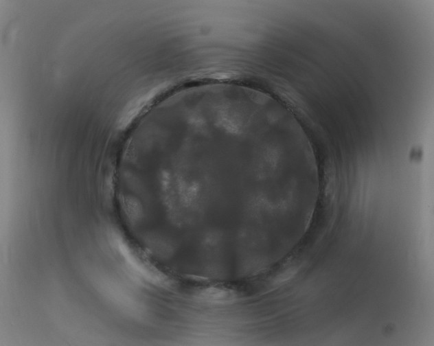 X0000114180542200910151704