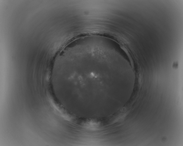 X0000114180546200910151704