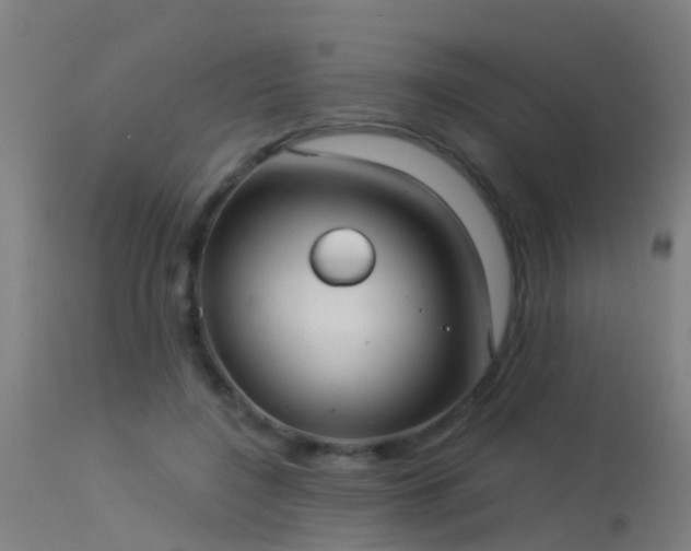 X0000114180548200910151704