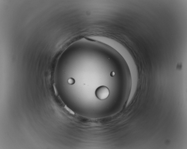 X0000114180552200910151704