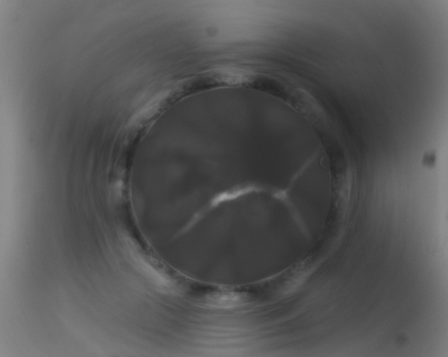 X0000114180553200910151704