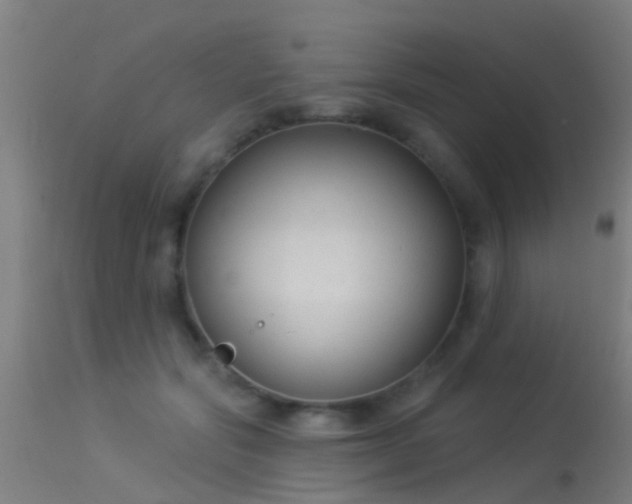 X0000114180557200910151704