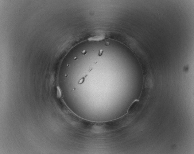 X0000114180560200910151704