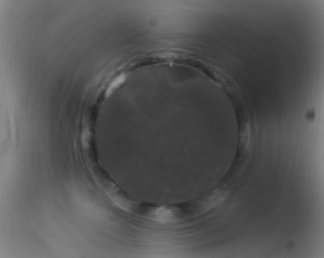 X0000114180566200910151704