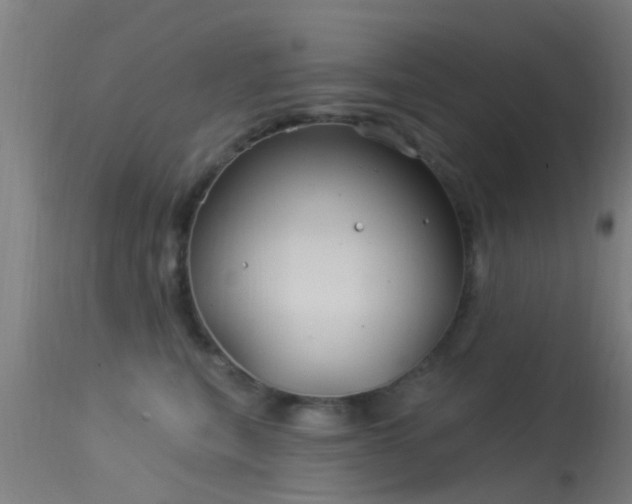 X0000114180567200910151704