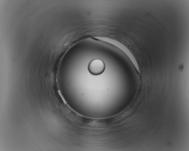 X0000114180568200910151704