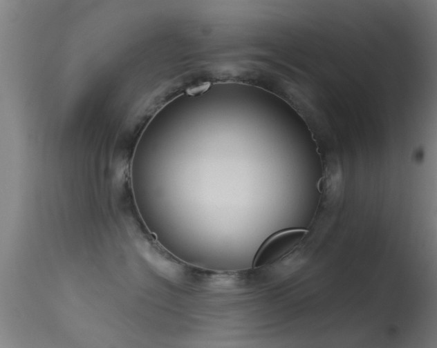 X0000114180574200910151704