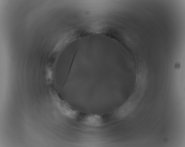 X0000114180576200910151704