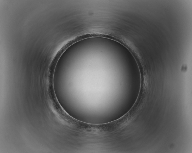 X0000114180580200910151703