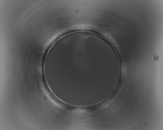 X0000114180581200910151703