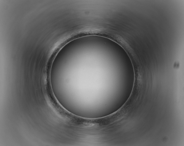 X0000114180582200910151703