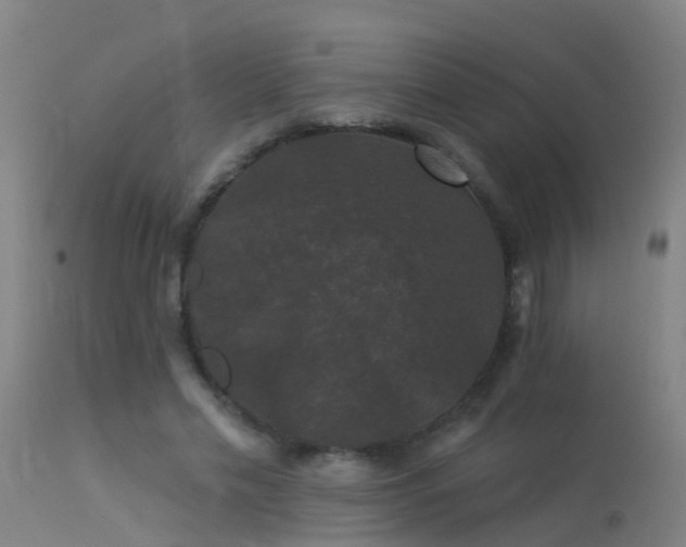 X0000114180589200910151703