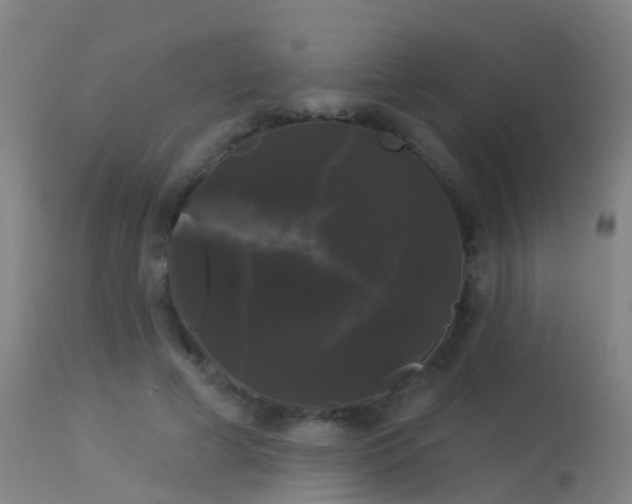 X0000114180593200910151703