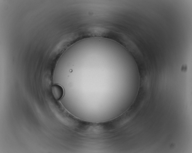 X0000114180599200910151703