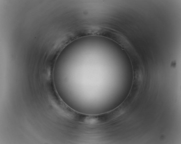 X0000114180602200910151703