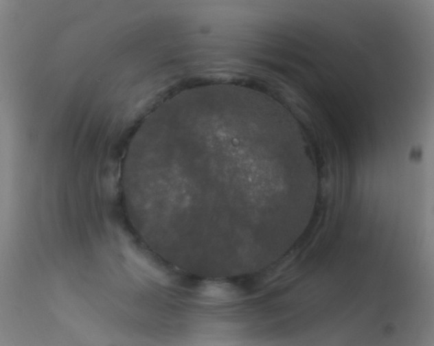 X0000114180605200910151703