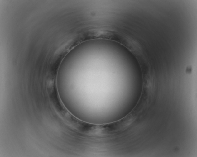 X0000114180607200910151703