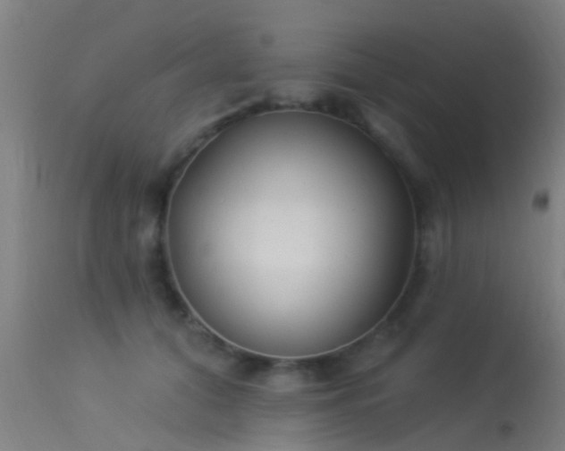 X0000114180608200910151703
