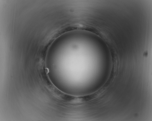 X0000114180609200910151703