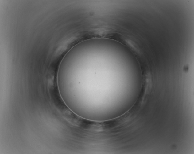 X0000114180615200910151703