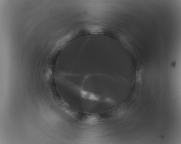 X0000114180618200910151703