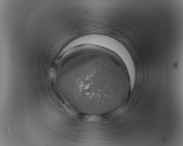 X0000114180621200910151703