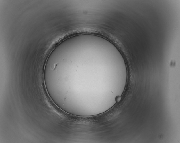 X0000114180625200910151702
