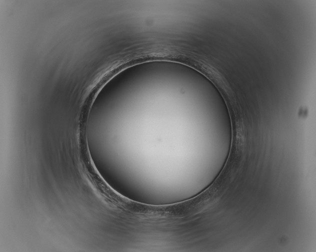X0000114180626200910151702
