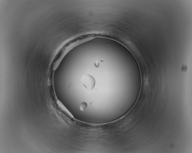 X0000114180628200910151702