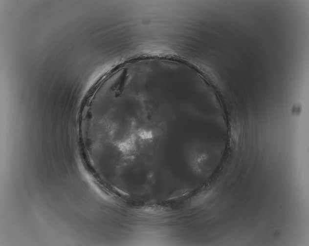 X0000114180630200910151702