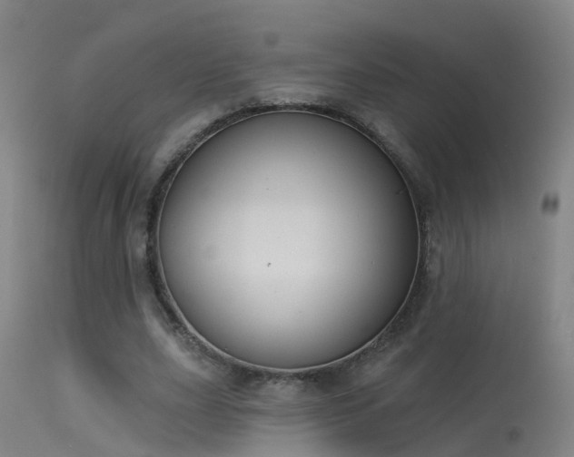 X0000114180631200910151702