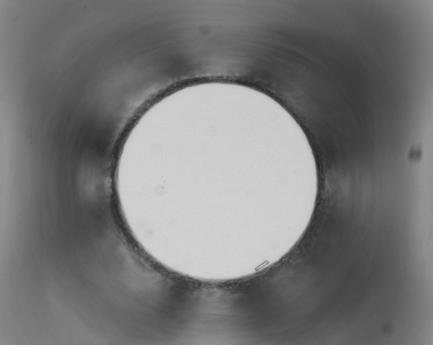 X0000114180632200910151702