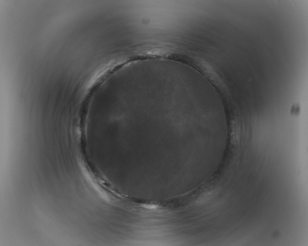 X0000114180634200910151702