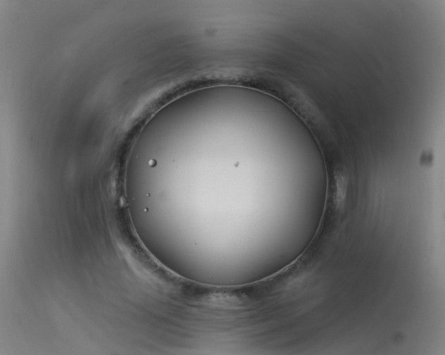X0000114180636200910151702