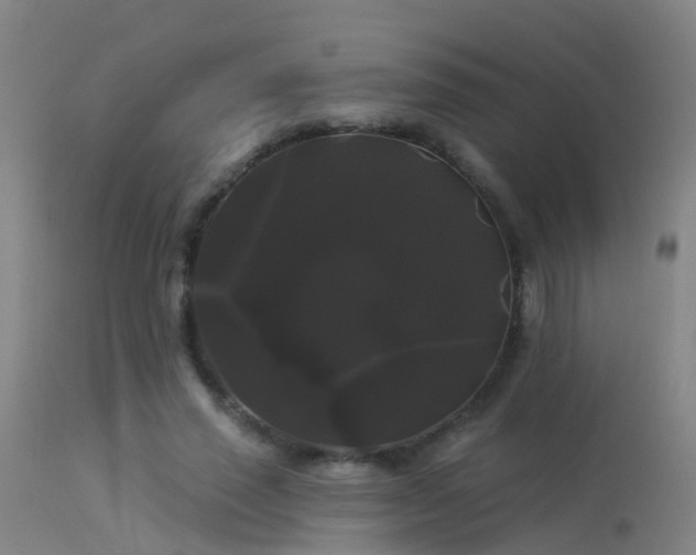 X0000114180637200910151702