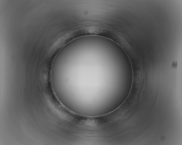 X0000114180639200910151702