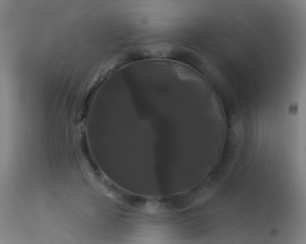 X0000114180641200910151702