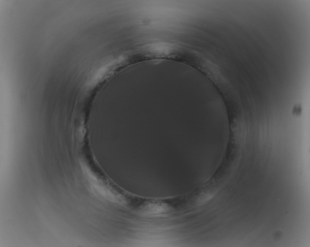X0000114180642200910151702